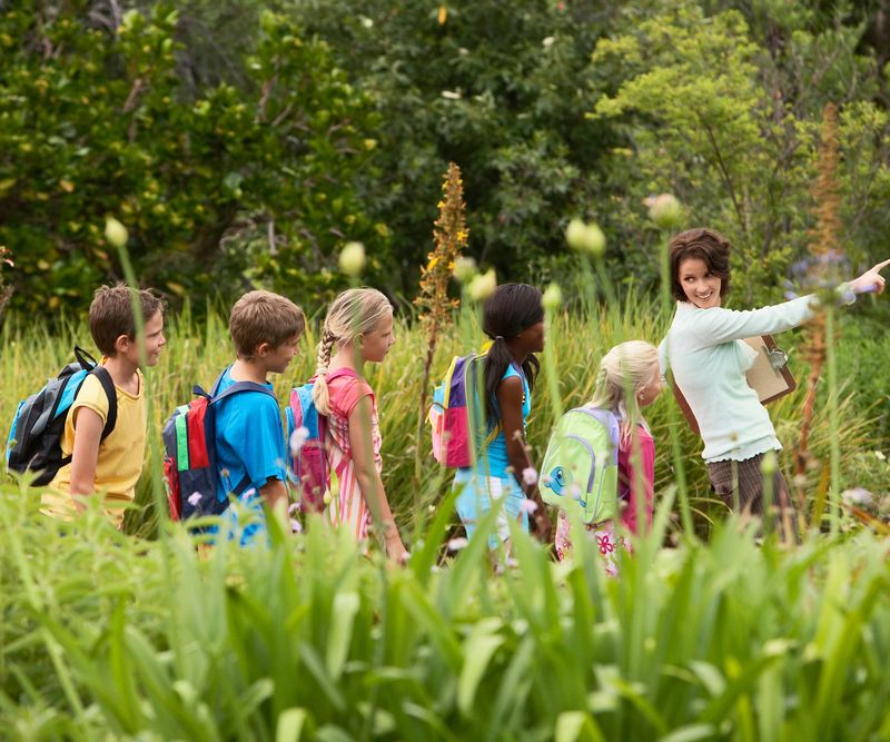 A group of children walking a nature trail with their guide